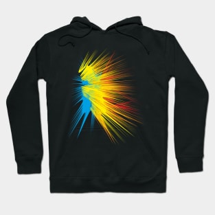 abstractio blast wave Hoodie